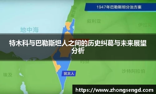特木科与巴勒斯坦人之间的历史纠葛与未来展望分析